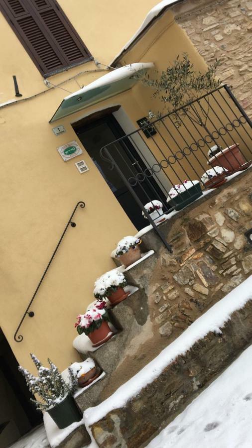 Dal Patriarca Maison d'hôtes Imperia
